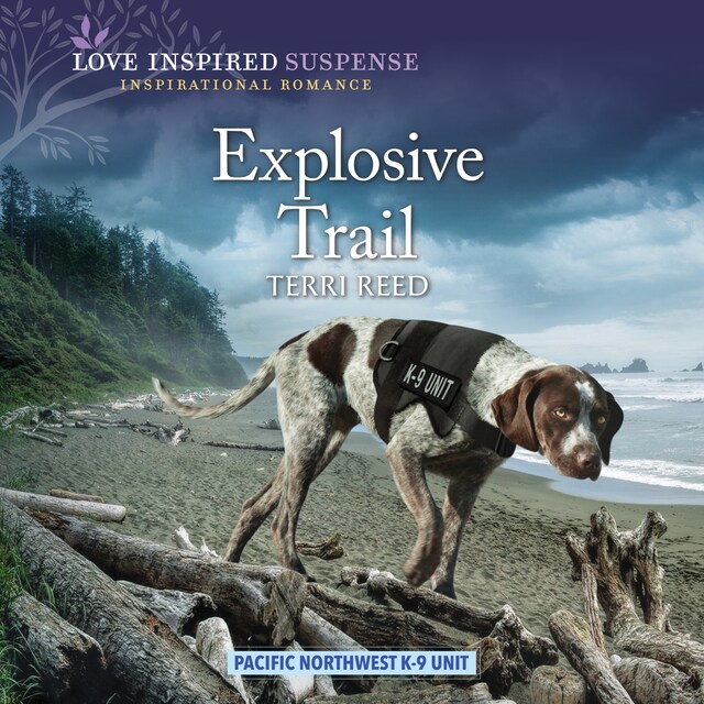 Book cover for Explosive Trail