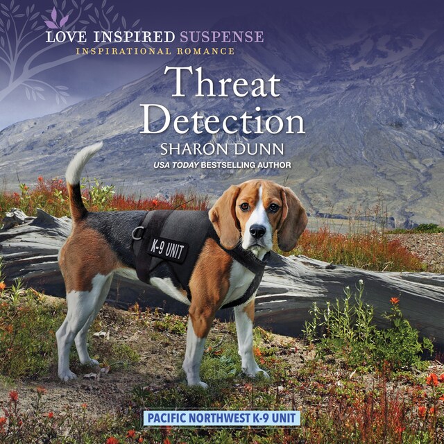Book cover for Threat Detection