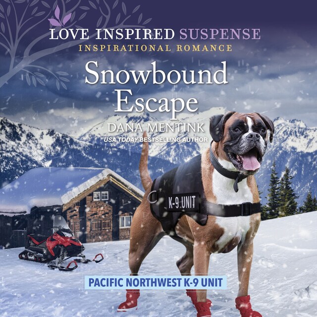 Couverture de livre pour Snowbound Escape