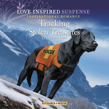 Tracking Stolen Treasures bookCoverFor