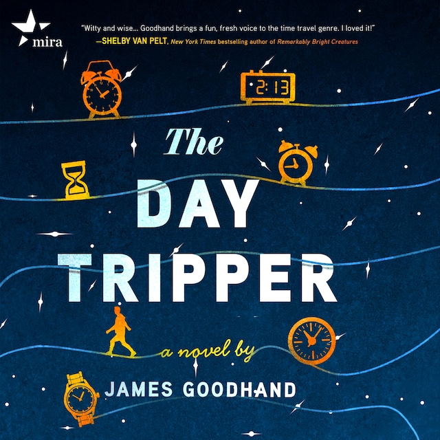 Bokomslag för The Day Tripper