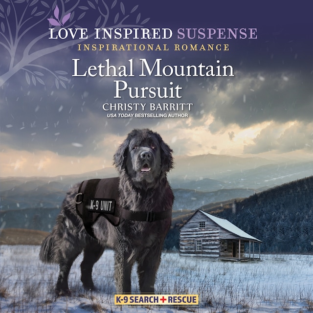 Book cover for Lethal Mountain Pursuit