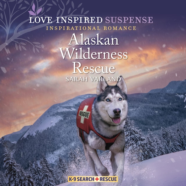 Couverture de livre pour Alaskan Wilderness Rescue