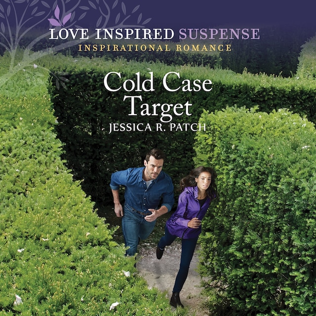Book cover for Cold Case Target