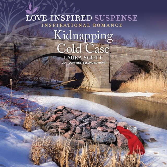 Book cover for Kidnapping Cold Case