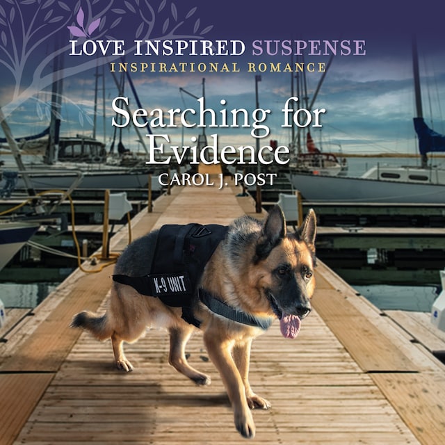 Okładka książki dla Searching for Evidence