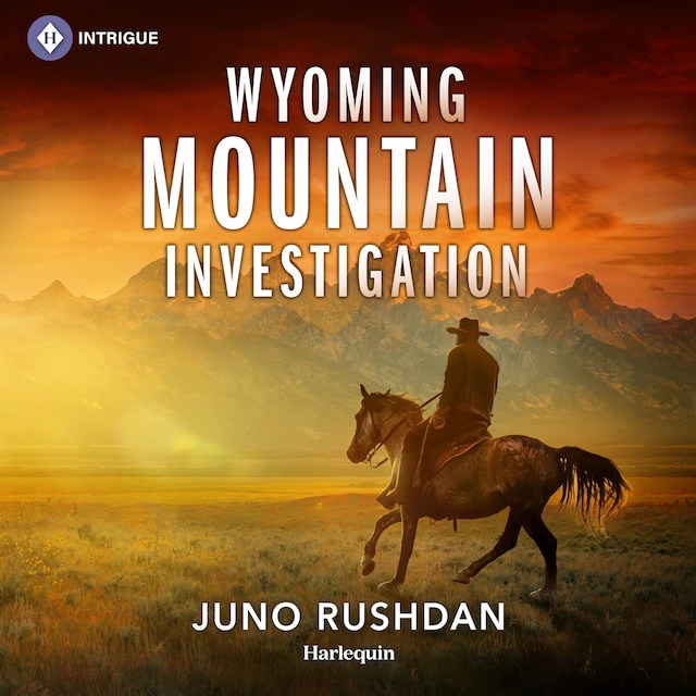Buchcover für Wyoming Mountain Investigation
