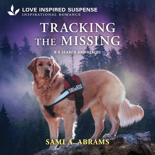 Portada de libro para Tracking the Missing