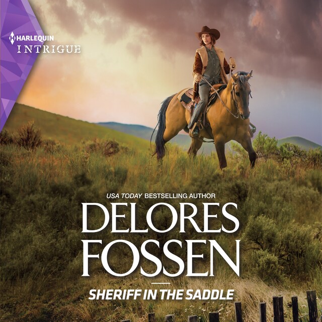 Book cover for Sheriff in the Saddle