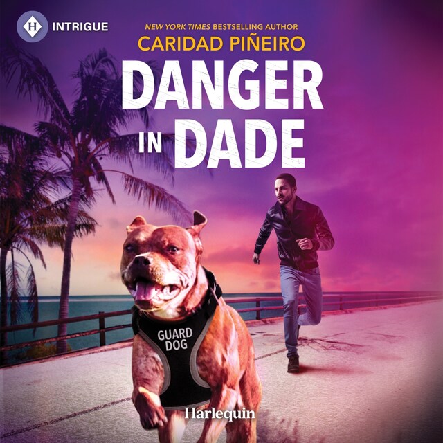 Book cover for Danger in Dade