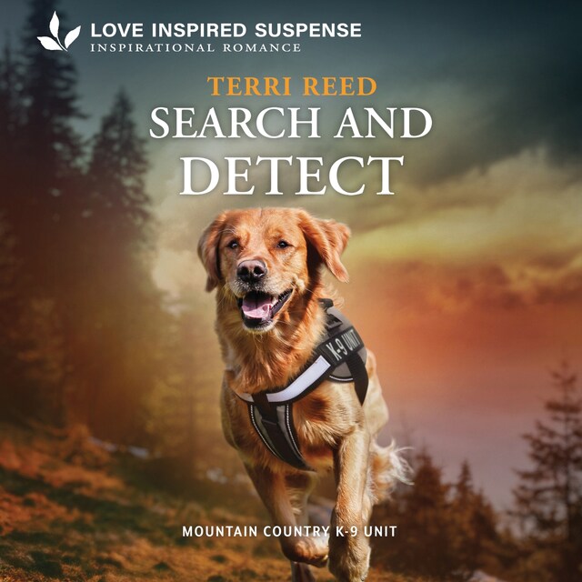 Couverture de livre pour Search and Detect