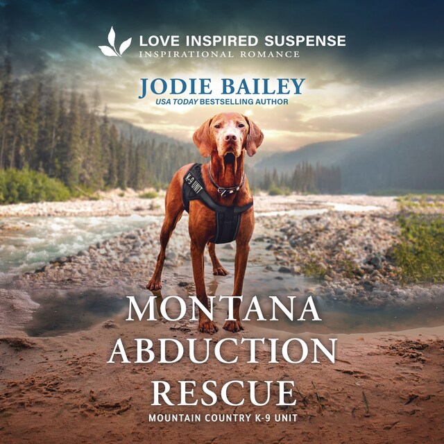 Book cover for Montana Abduction Rescue