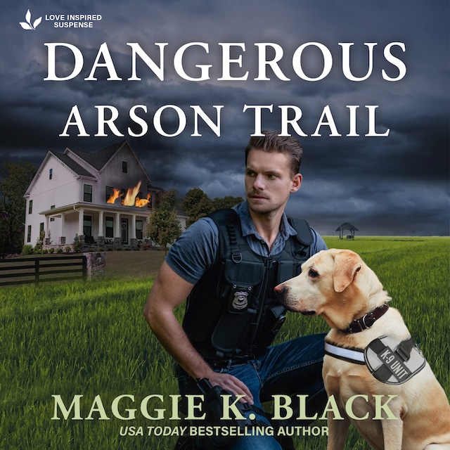 Book cover for Dangerous Arson Trail