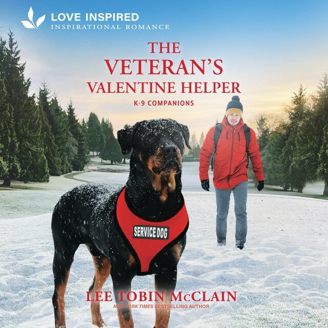 Book cover for The Veteran's Valentine Helper