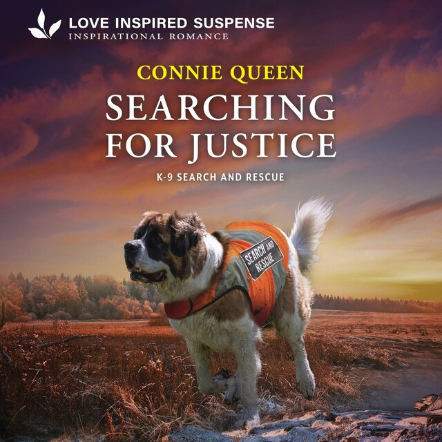 Book cover for Searching for Justice