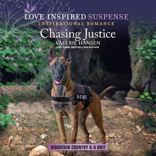 Book cover for Chasing Justice