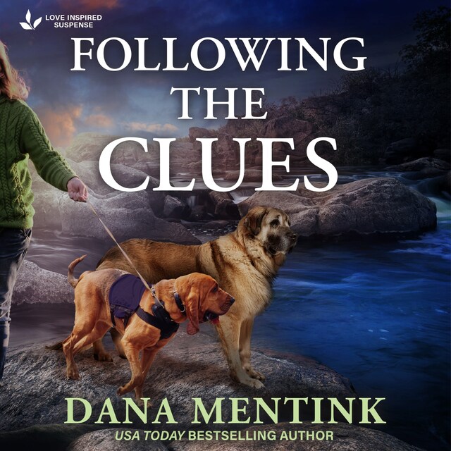 Book cover for Following the Clues