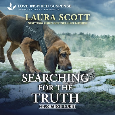 Searching for the Truth