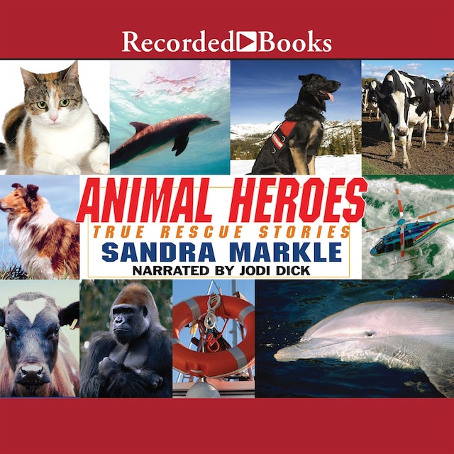 Kirjankansi teokselle Animal Heroes: True Rescue Stories