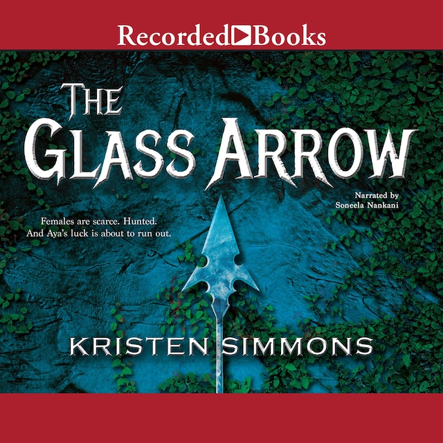 Boekomslag van The Glass Arrow