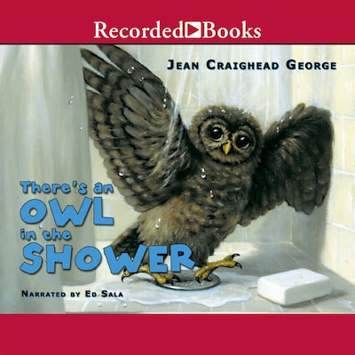 There's an Owl in the Shower