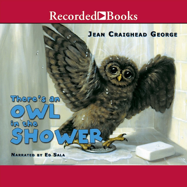 Book cover for There's an Owl in the Shower