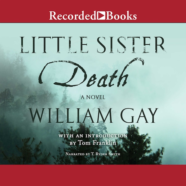 Book cover for Little Sister Death