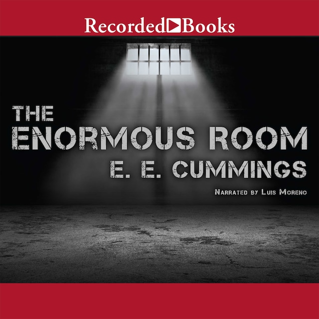 Boekomslag van The Enormous Room