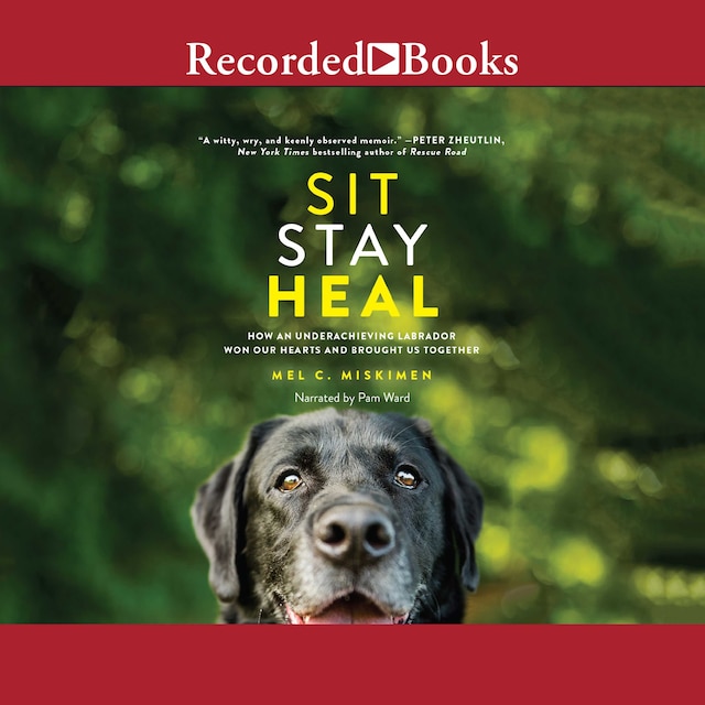 Book cover for Sit Stay Heal