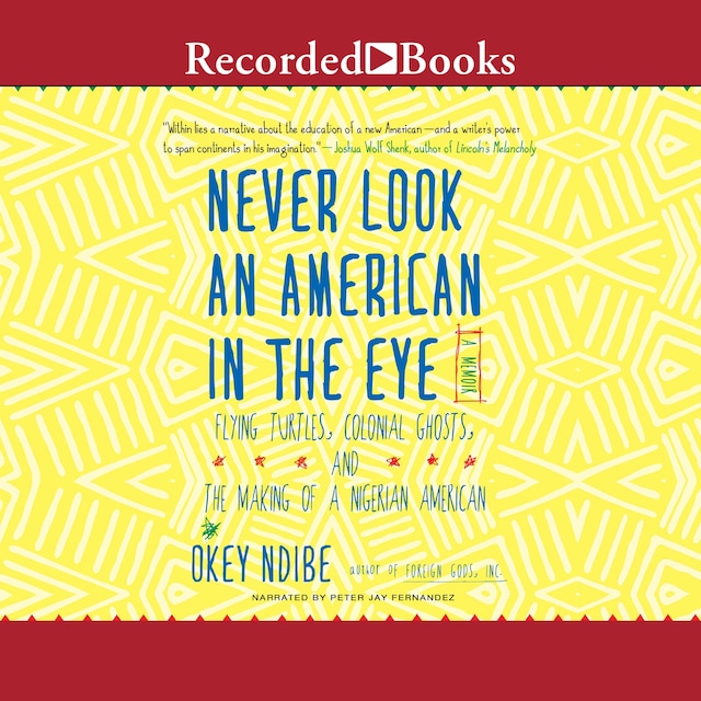 Book cover for Never Look an American in the Eye