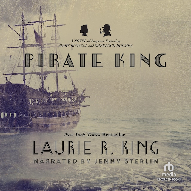 Book cover for Pirate King