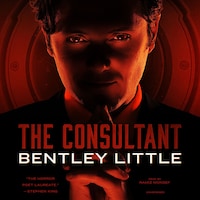 The Consultant