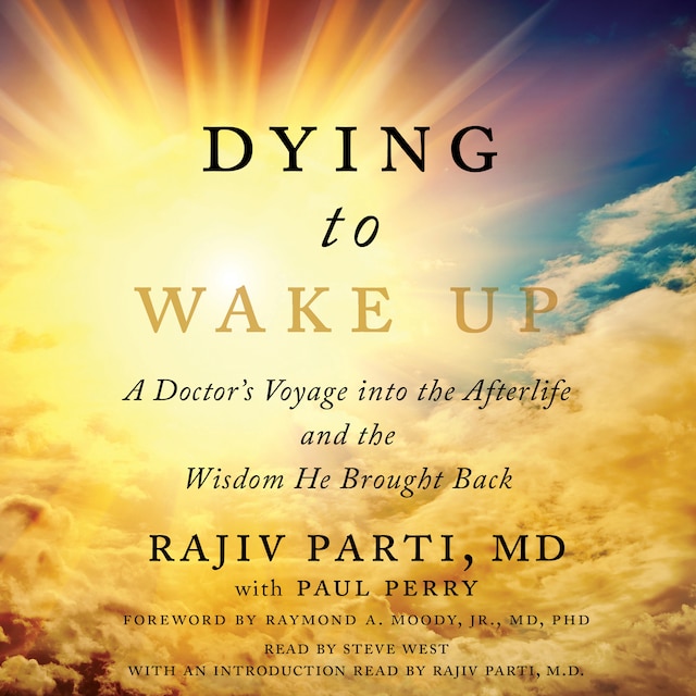 Book cover for Dying to Wake Up