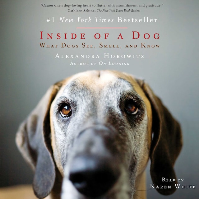 Boekomslag van Inside of a Dog