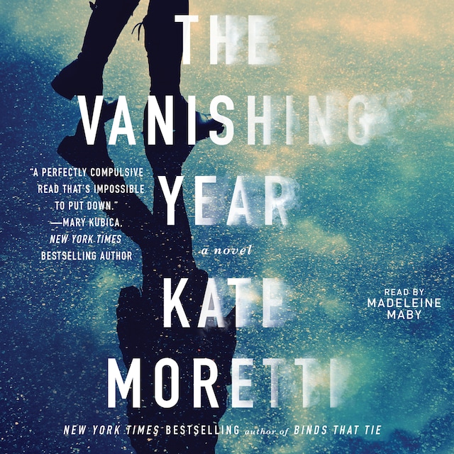 Book cover for The Vanishing Year