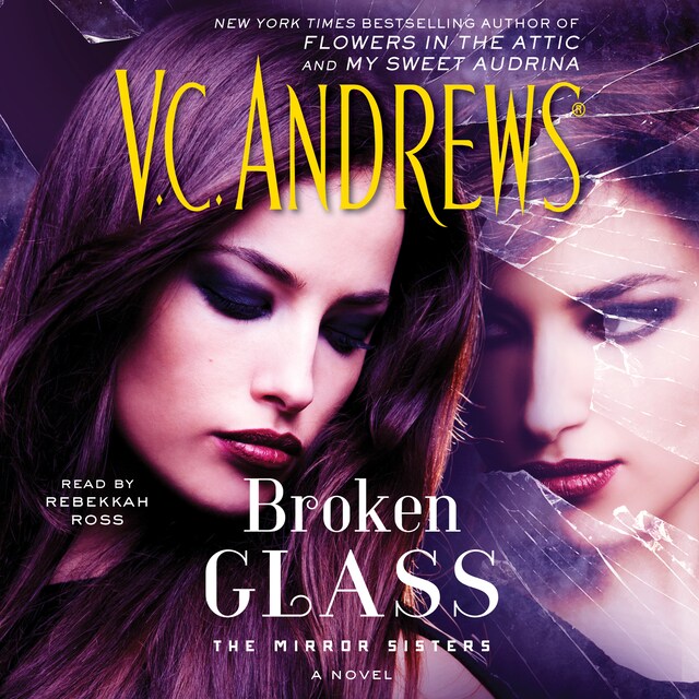 Book cover for Broken Glass