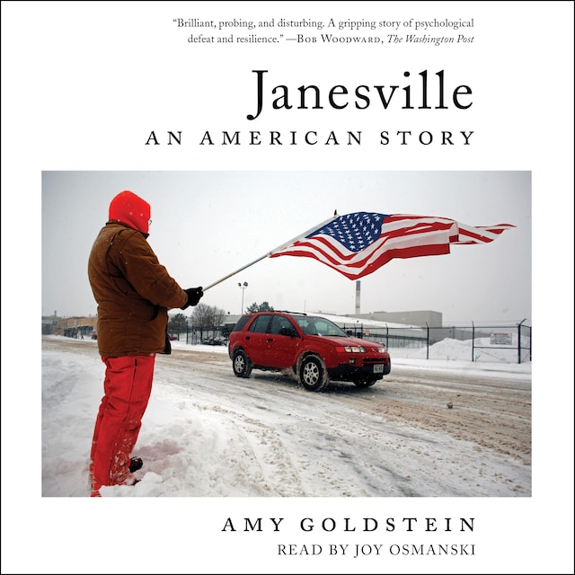 Book cover for Janesville