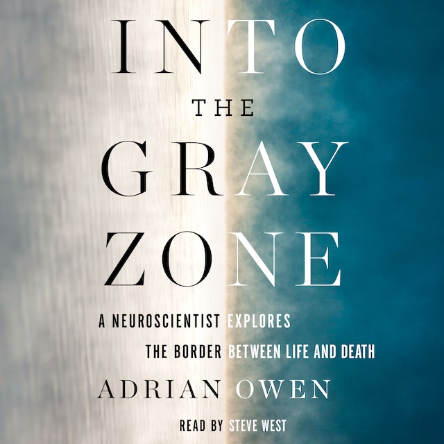 Boekomslag van Into the Gray Zone