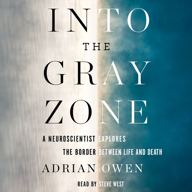 Buchcover für Into the Gray Zone