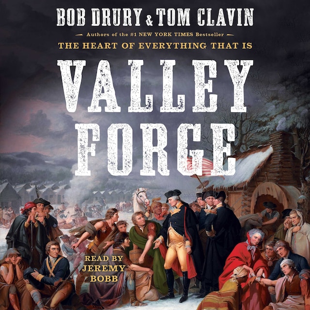 Book cover for Valley Forge
