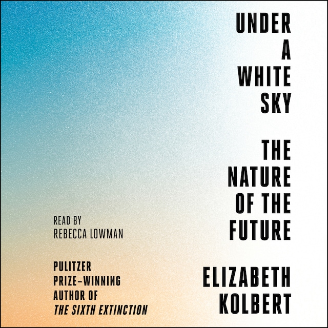 Buchcover für Under a White Sky