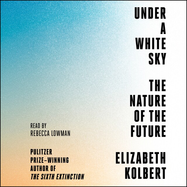 Book cover for Under a White Sky