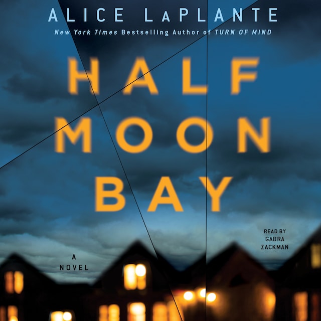 Book cover for Half Moon Bay