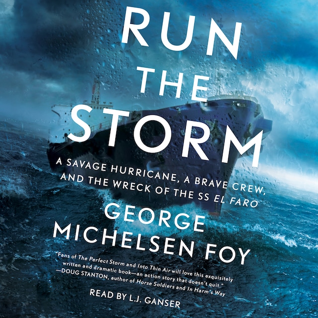 Book cover for Run the Storm