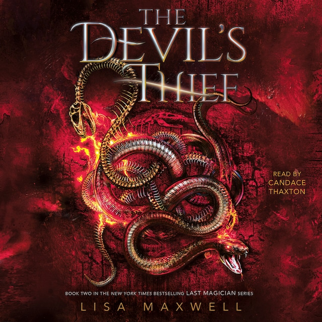 Book cover for The Devil's Thief