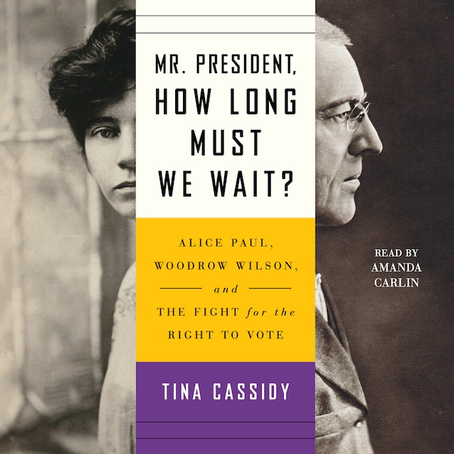 Book cover for Mr. President, How Long Must We Wait?