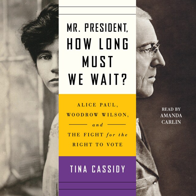 Book cover for Mr. President, How Long Must We Wait?