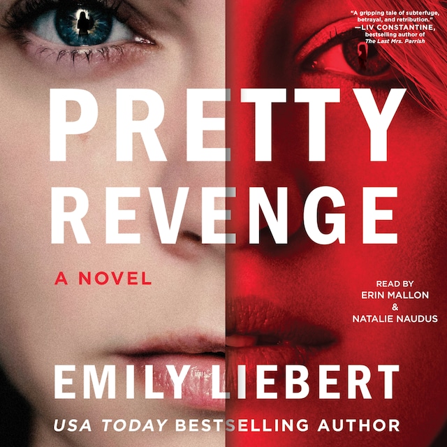 Book cover for Pretty Revenge