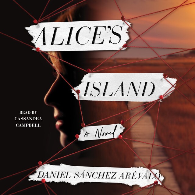 Book cover for Alice's Island