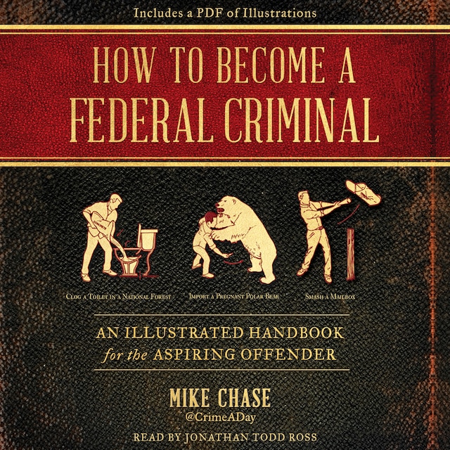 Copertina del libro per How to Become a Federal Criminal